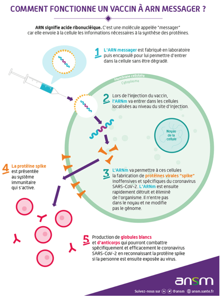 Vaccins à ARN